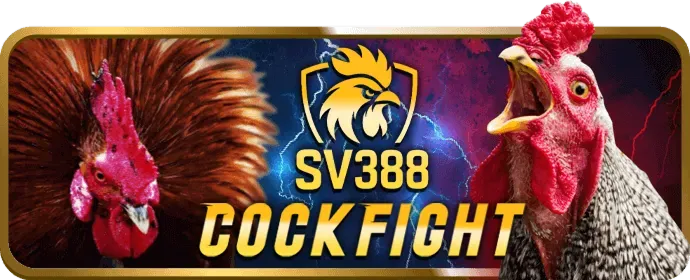 Tiền thưởng chào mừng f8bet80